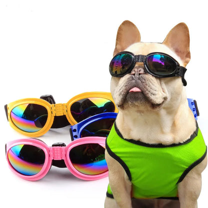 Best Selling Pet Glasses 6