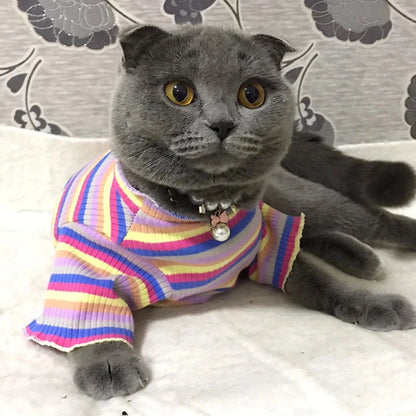 Colorful Stripe Sphynx Cat Vest Shirt for Small Cats