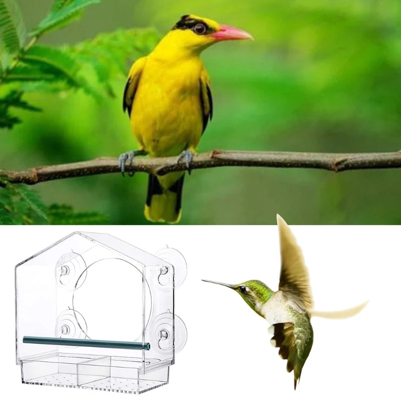 Clear Acrylic Bird Feeder Window Mount with Strong Suction Cup Seed Tray