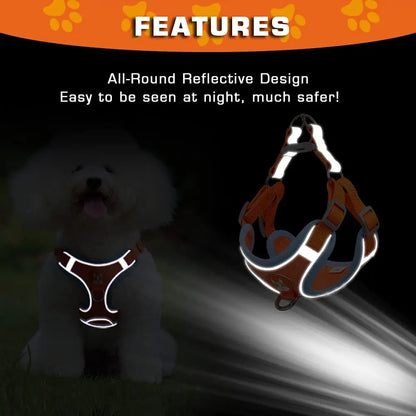 Reflective Adjustable Dog Harness and Leash Set for Outdoors and Travel