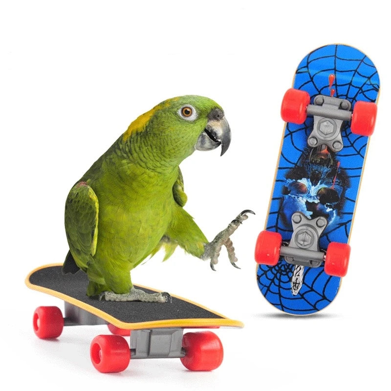 1 PC Parrot Training Skateboard Bird Supplies Skates Lovebird Canaries Perch