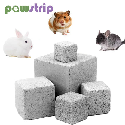 Natural Mineral Teeth Molar Stone Hamster