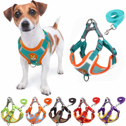 Reflective Adjustable Dog Harness and Leash Set for Outdoors and Travel