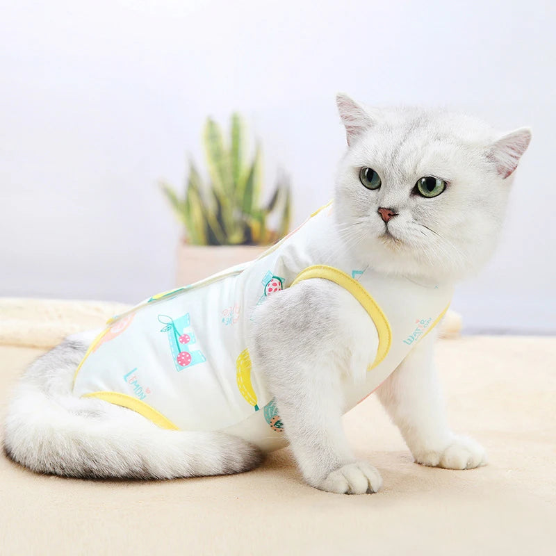 Cat After Surgery Sterilization Surgical Recovery Suits