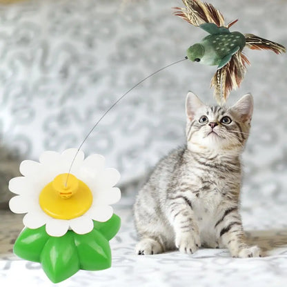 Electric Rotating Butterfly / Bird Cat Toy