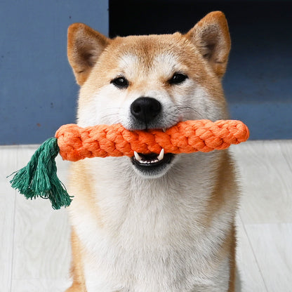 Amazing Soft Dog Chew Toys, All Shapes and Sizes!