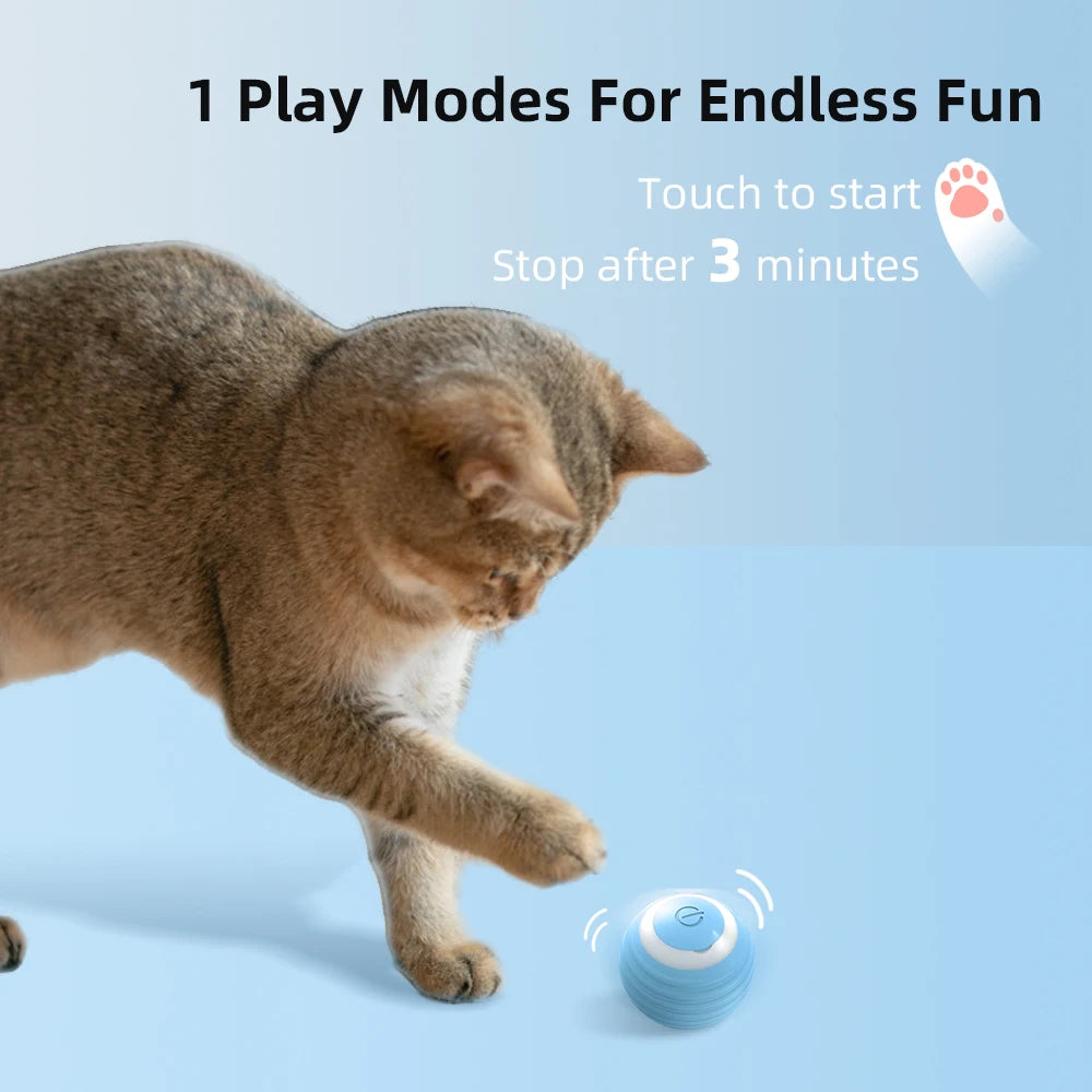 Cat Toy Indoor Automatic Rolling Magic Ball Cat Game