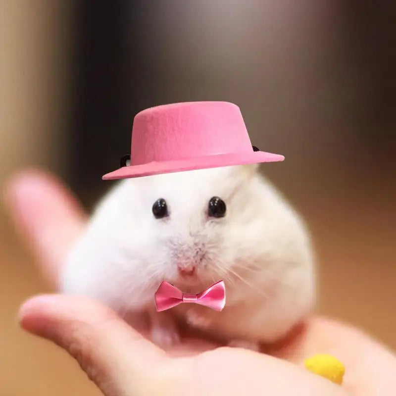 Hat For Small Animals Hamster Top Hat Breathable Rabbit Guinea Pig Hamster Totoro Pets Funny Accessories Stylish Costume