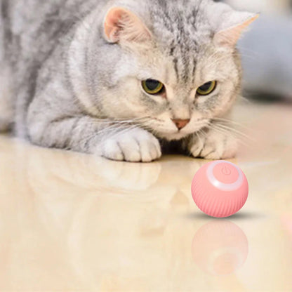 Interactive Electric Rolling Ball Cat Toy for Movers and Shakers