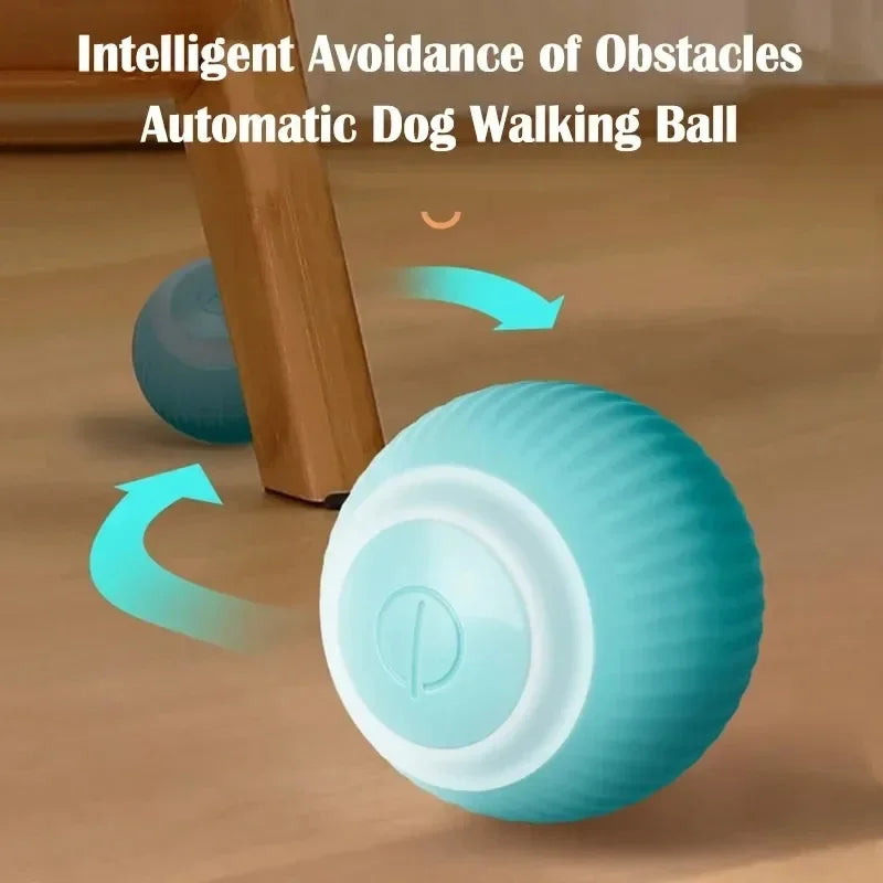 Pet Ball Interactive Balls for Cat