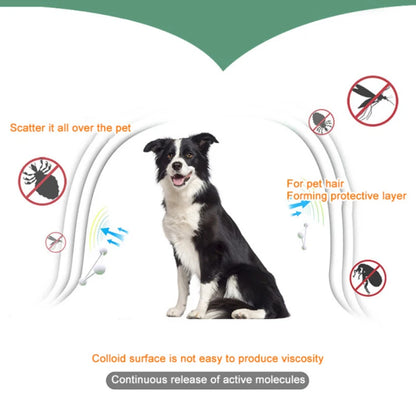 Dog Anti Flea And Ticks Collar