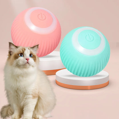 Interactive Electric Rolling Ball Cat Toy for Movers and Shakers