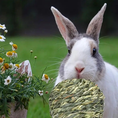 Bunny Chew Toys Guinea Pig Grass Ball Gnawing And Teeth Grinding Snacks