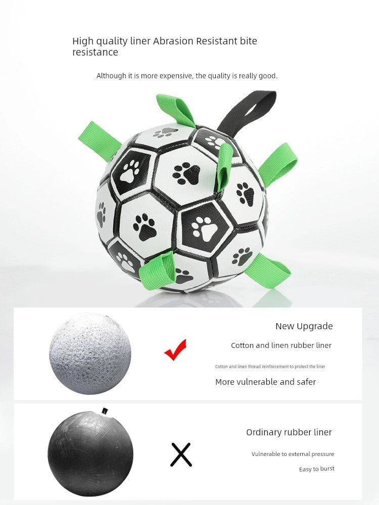 Interactive Ball Training Toy