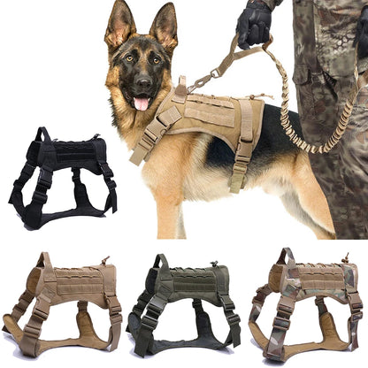 Tactical Dog Harness & Leash Set