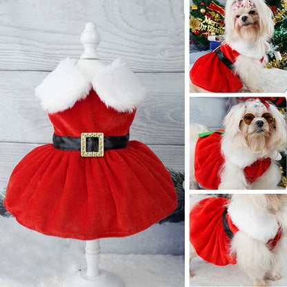 Christmas Coat Dog Xmas Dress Red Skirt