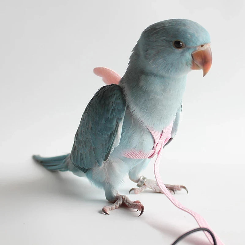 Parrot Flying Harness Leash Suit Pet Bird Outdoor Flight Training Rope