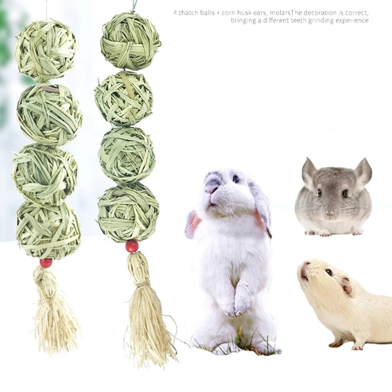 Grass Treat for Hay Balls Chew Toy for Chinchilla  Rabbits Ger