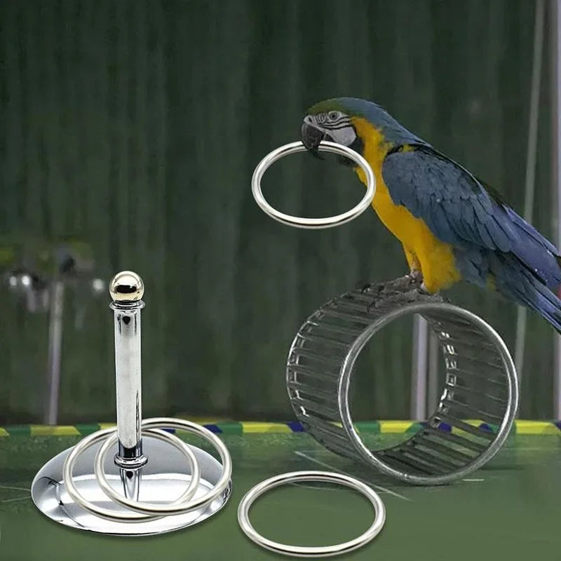 Bird Parrots Interactive Training Toys Intelligence Development Stacking Metal Ring Training Sets