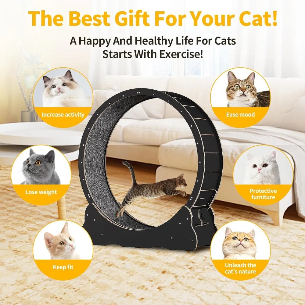 Accessories for Cats Cat Wheel Cat Exercise Wheel for Indoor Cat Pulsive and Training