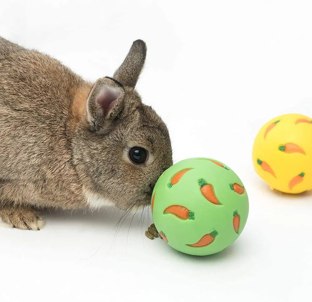 1pcs Rabbit Treat Ball Pet Slow Feeder Interactive Bunny Snack Toy