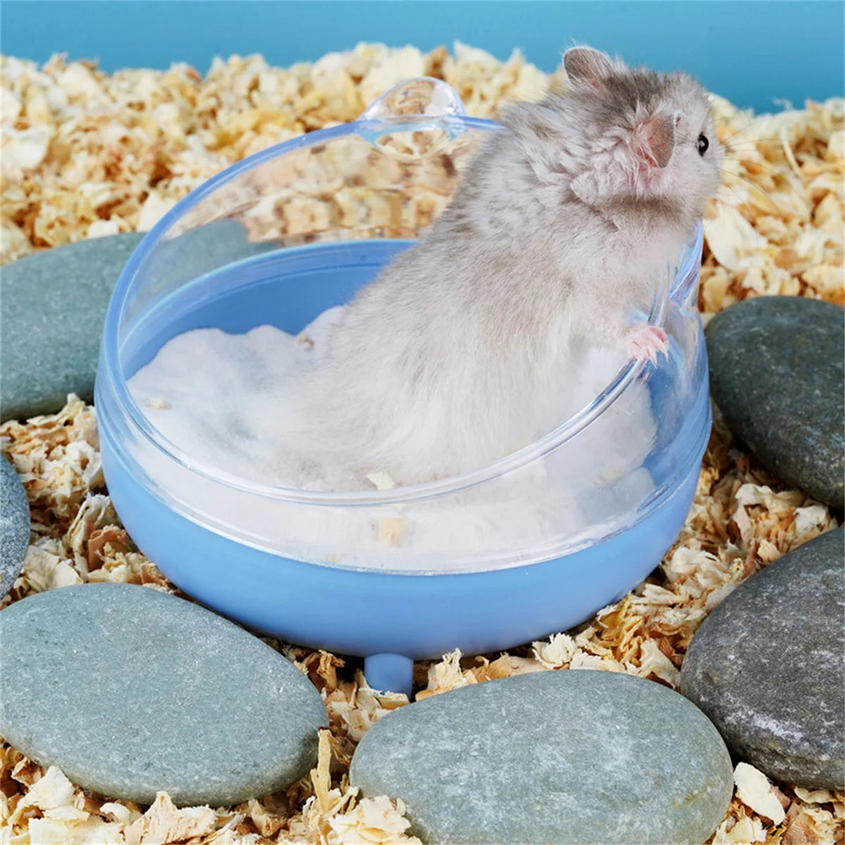 Hamster Bathroom House Sandbox Full Transparent Urine Sand Basin Golden