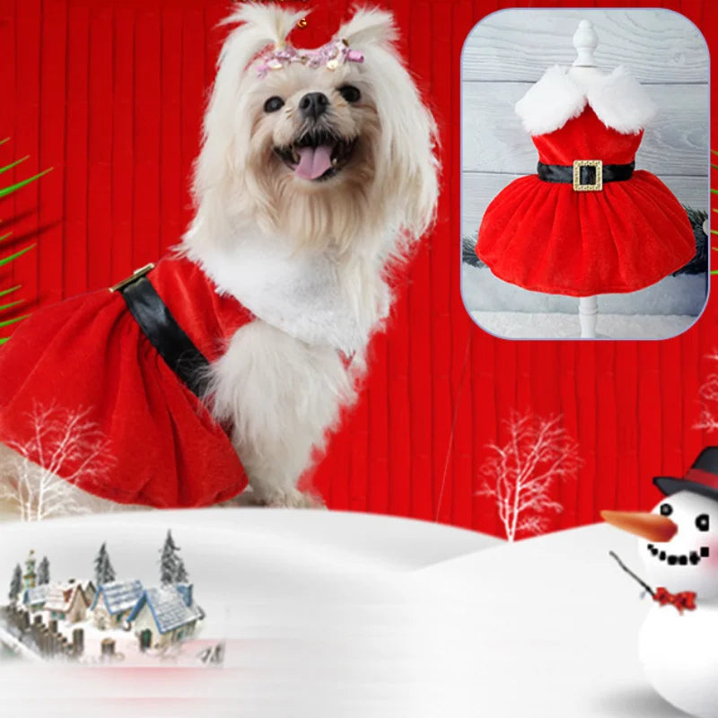 Christmas Coat Dog Xmas Dress Red Skirt