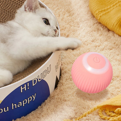 Interactive Electric Rolling Ball Cat Toy for Movers and Shakers