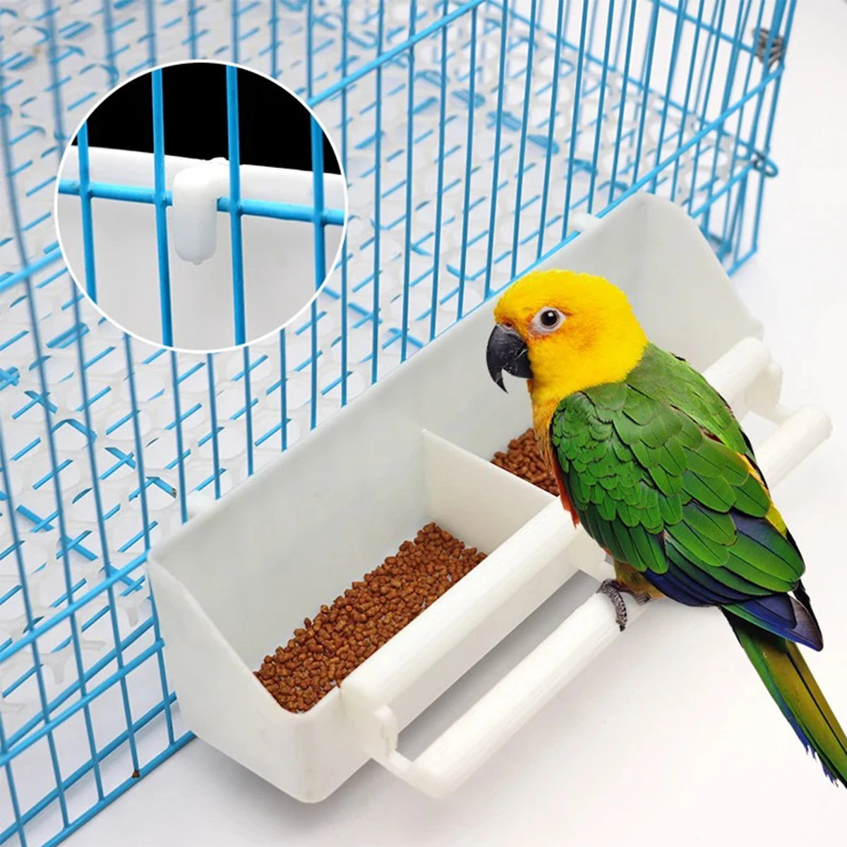 Parrot Bird Feeder Feeding Dish Easy Cleaning Parakeet Cockatiel Food Feeder