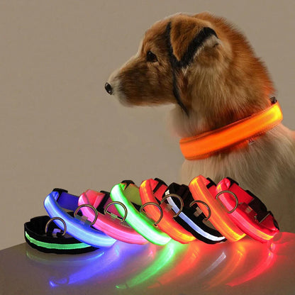 Led Dog Collar Light Anti-lost Collar For Dogs Puppies Night Luminous