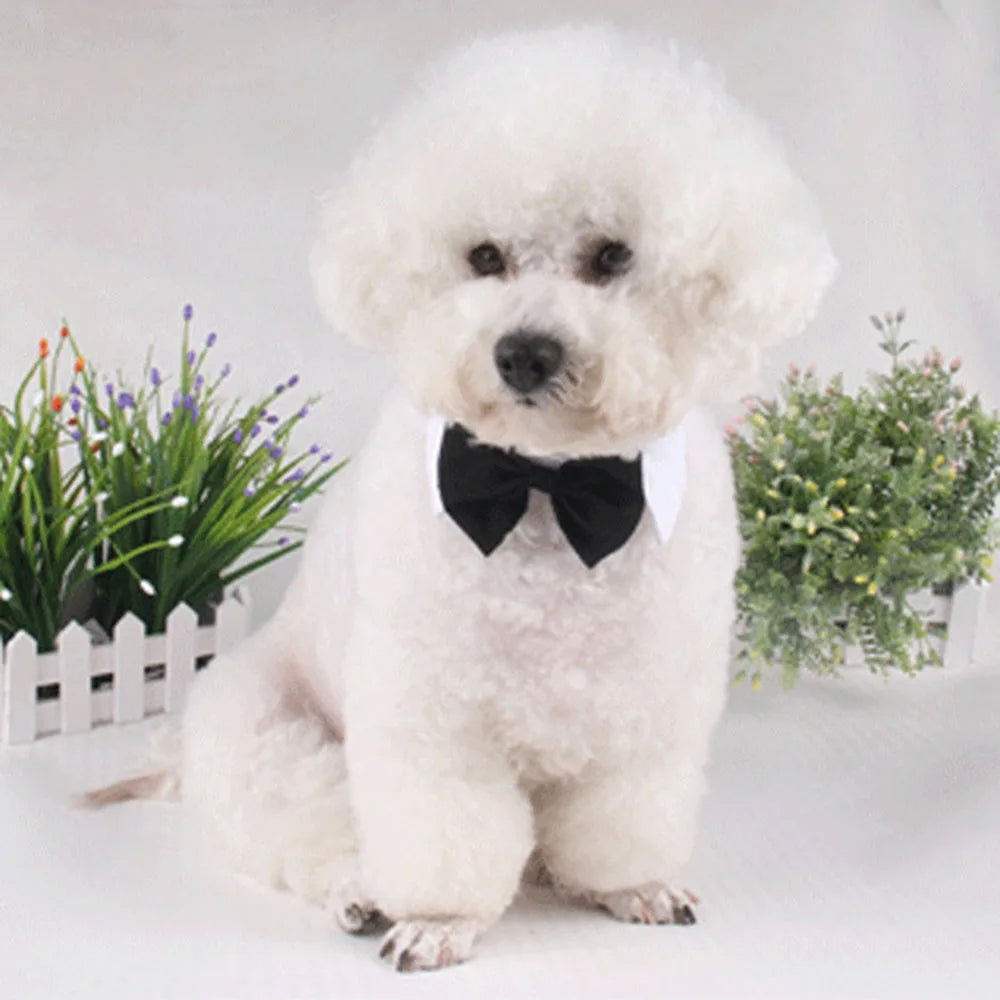 Dog Cat Tuxedo Collar Cat Wedding Bowtie Puppy Bow Tie Tux Collar Costume Birthday Easter Valentines Dog Bowtie Pet Accessories