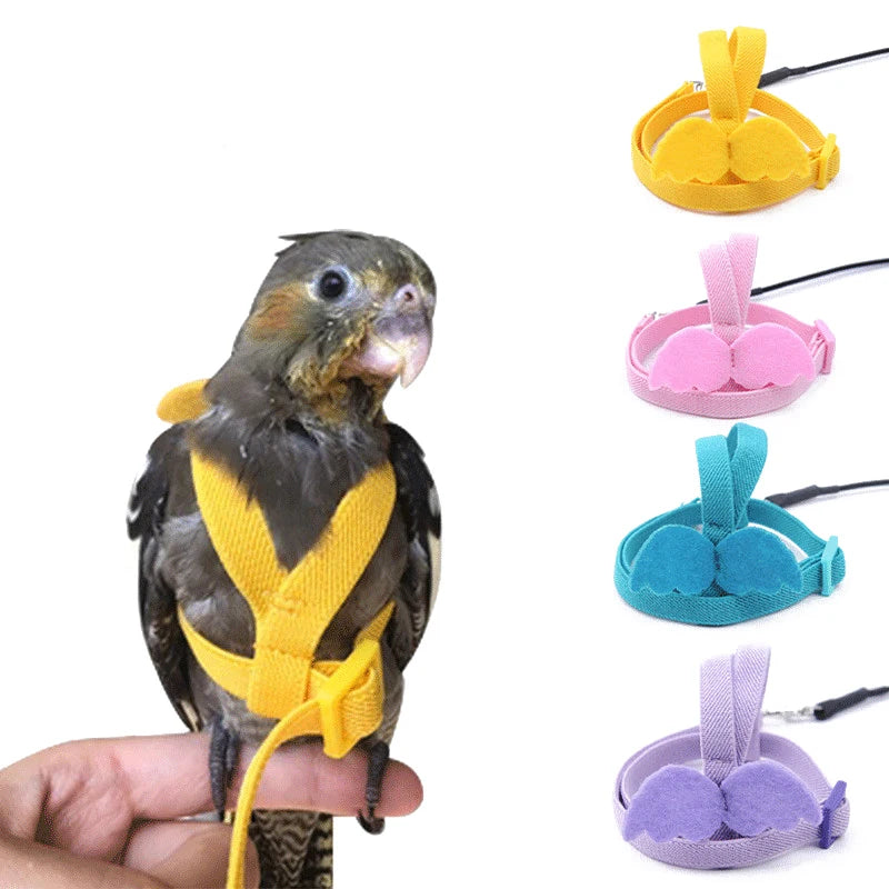 Parrot Flying Harness Leash Suit Pet Bird Outdoor Flight Training Rope