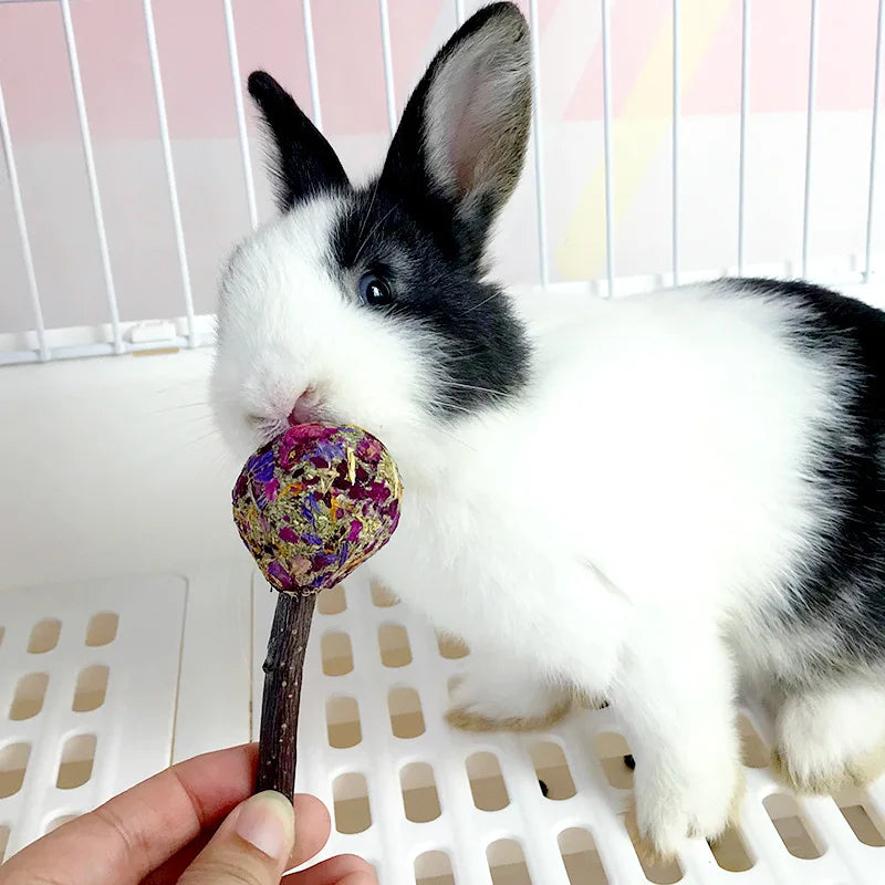 1pc Bunny Chew Toy Lollipop of Teeth Natural Apple Wood Stick With Timothy Flower For Rabbits Chinchilla Hamsters Guinea Pigs