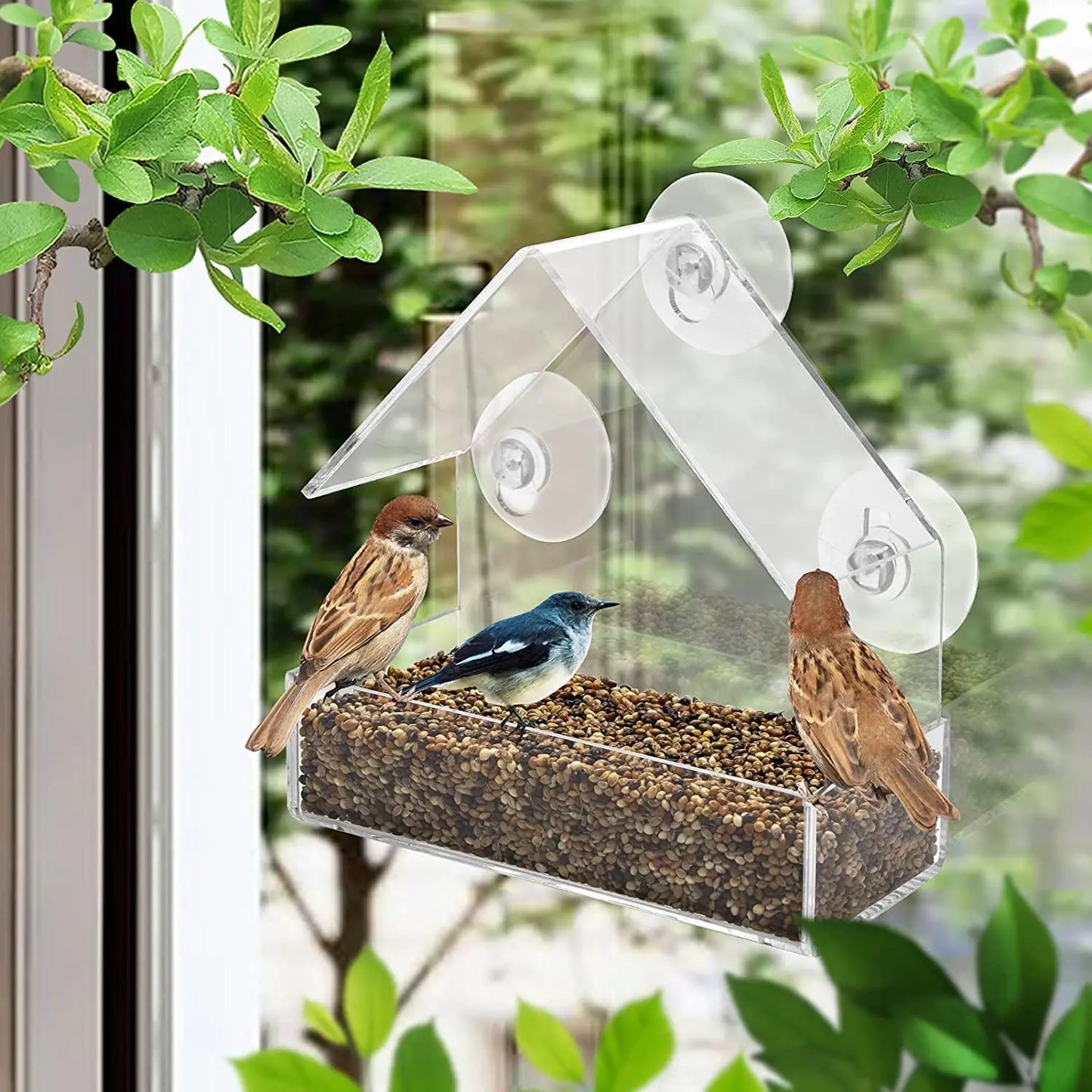 Window Wild Bird Feeder House