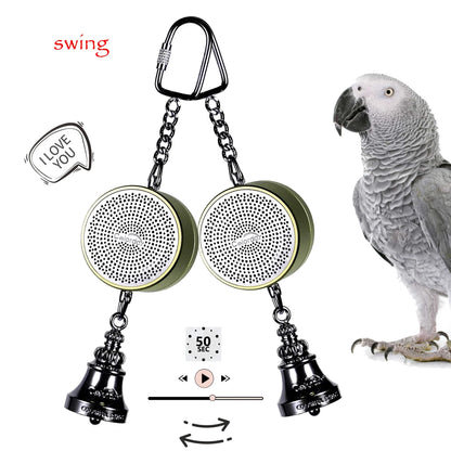 Parrot Toys to Teaching Training Bird Talking Coach