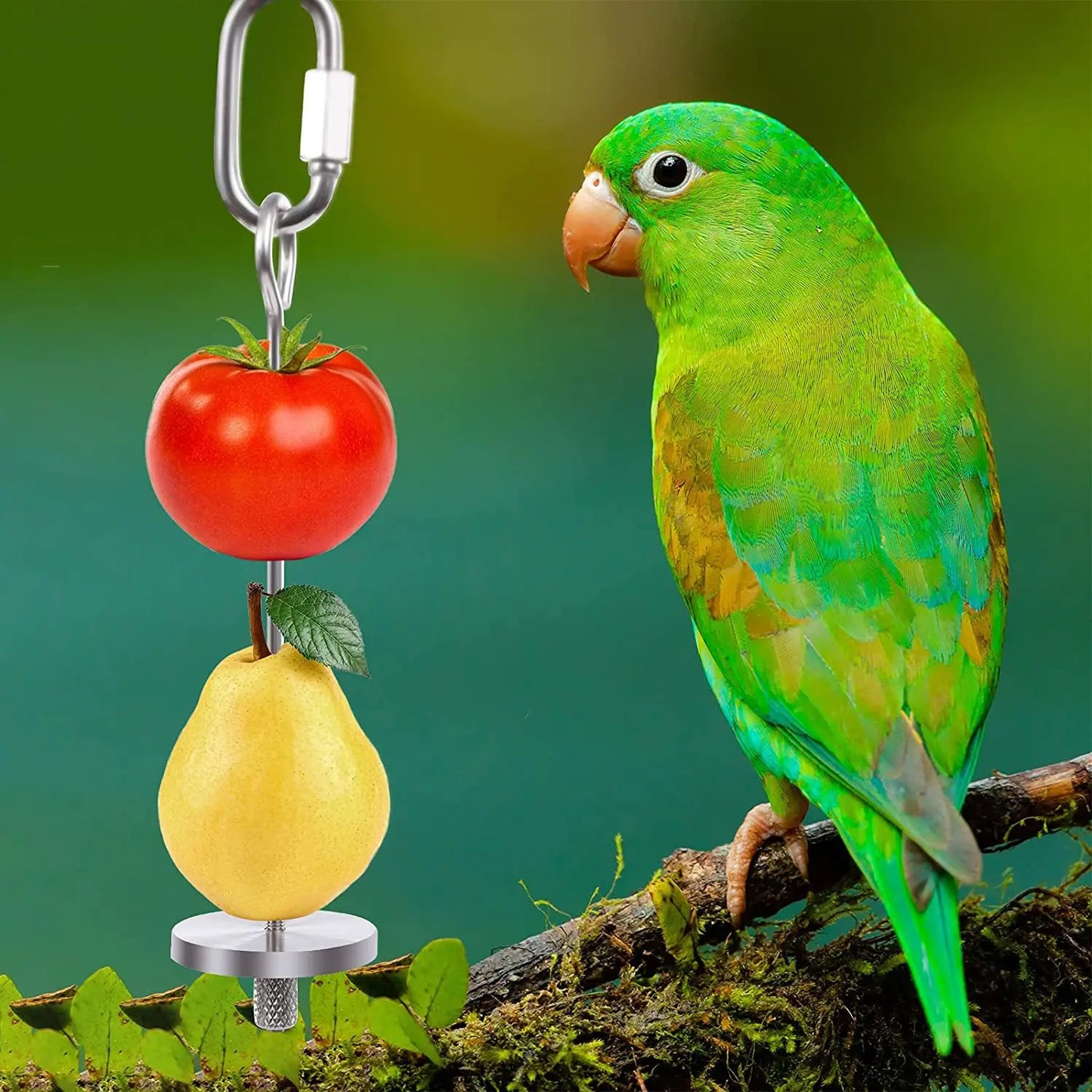 5pcs/set Pet Hanging Bowl Parrot Stainless Steel Fruit Fork Feeder