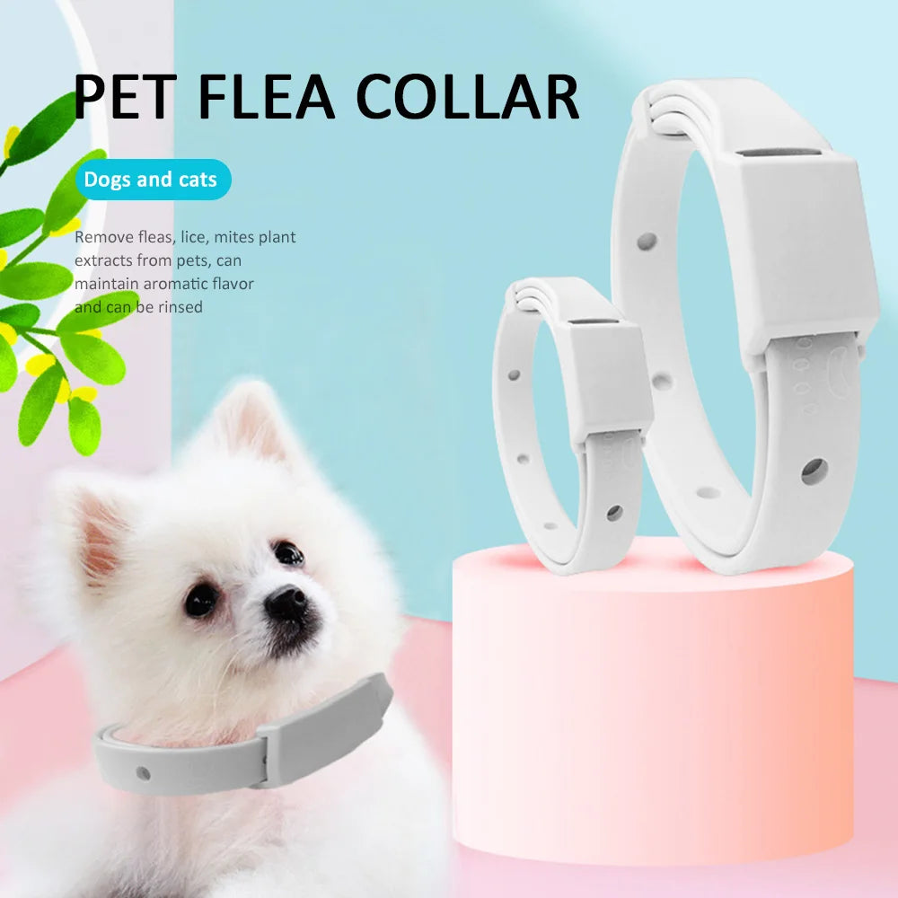 Anti Flea Tick Collar For Cat Small Dog Antiparasitic Protection Adjustable Puppy Kitten