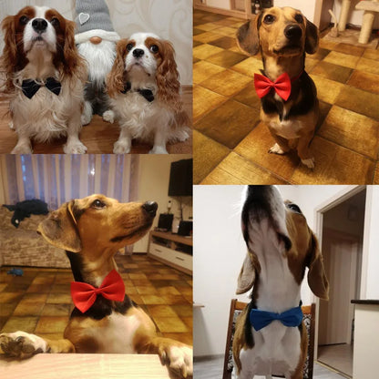 Dog Necklace Formal Necktie Adjustable Bow Tie Portable