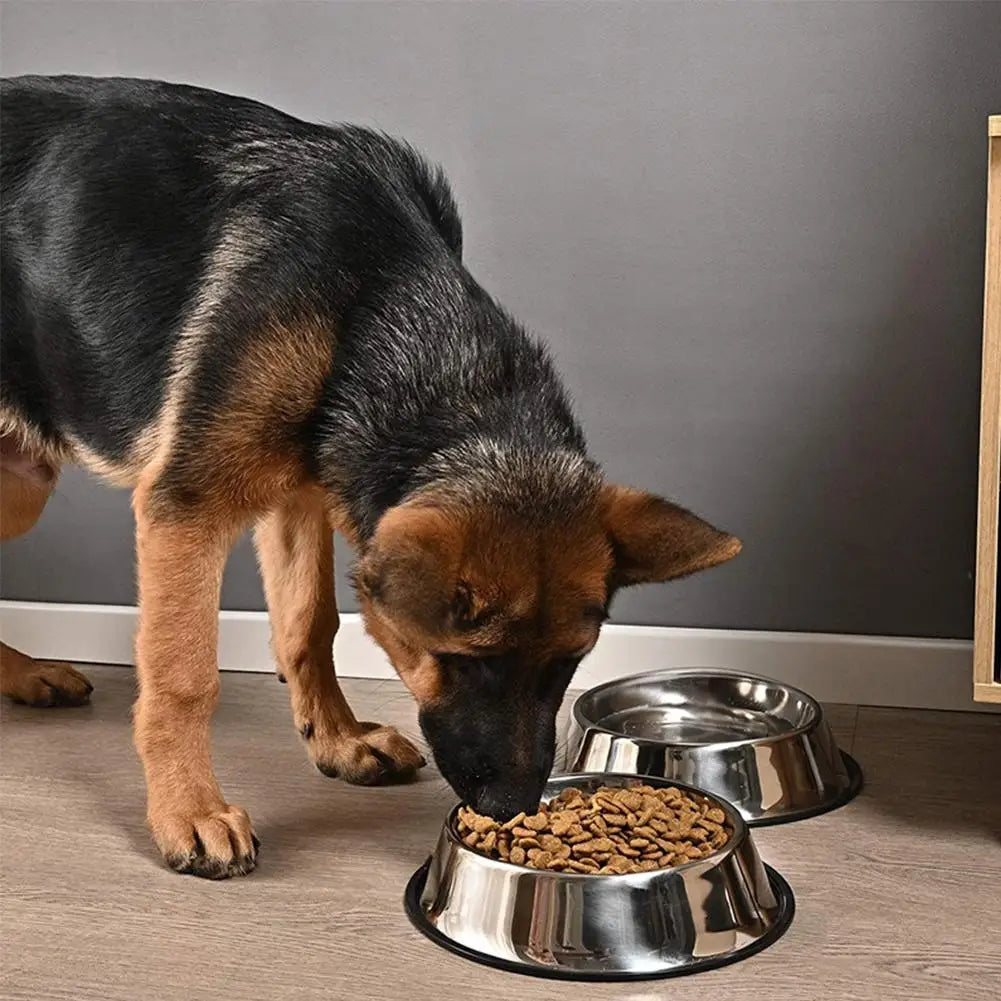 Stainless Steel Pet Dog Bowl Feeder Skidproof Anti-ant Food Water Drink Dishes Feeder