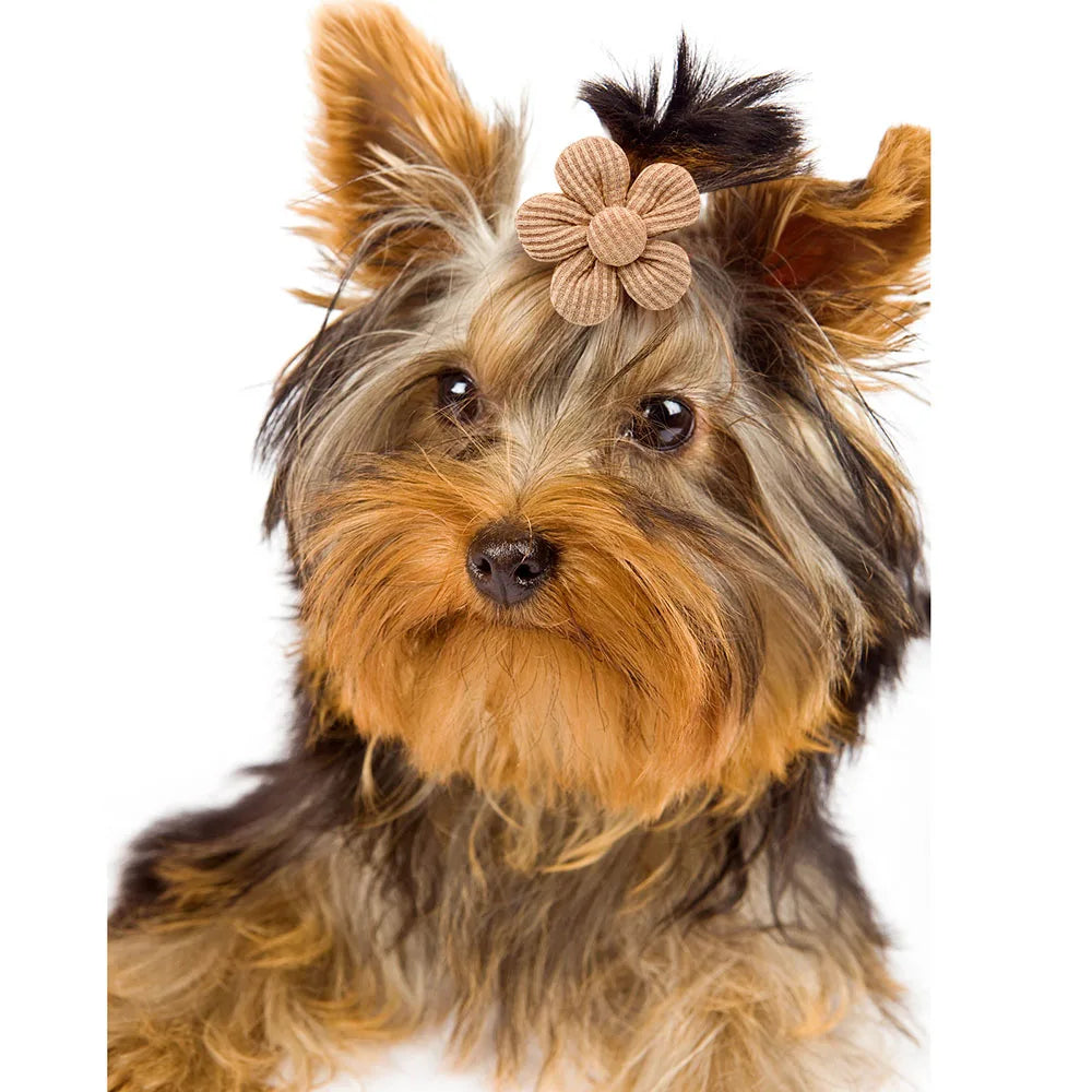 10PCS Spring Flower Bowknot Rubber Bands For Dog Bows