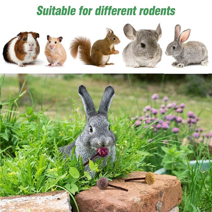 1pc Bunny Chew Toy Lollipop of Teeth Natural Apple Wood Stick With Timothy Flower For Rabbits Chinchilla Hamsters Guinea Pigs