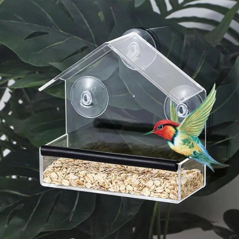 Tray Bird House Pet Feeder Suction Cup Installation House Type Feeder