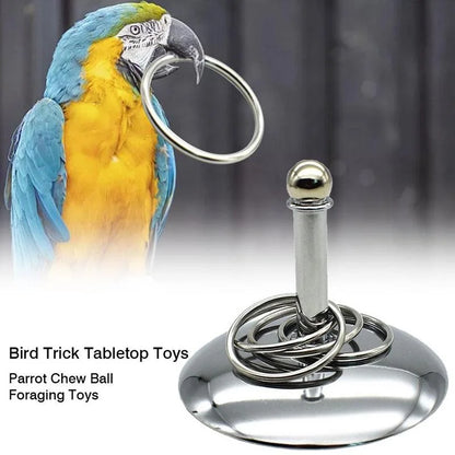 Bird Parrots Interactive Training Toys Intelligence Development Stacking Metal Ring Training Sets