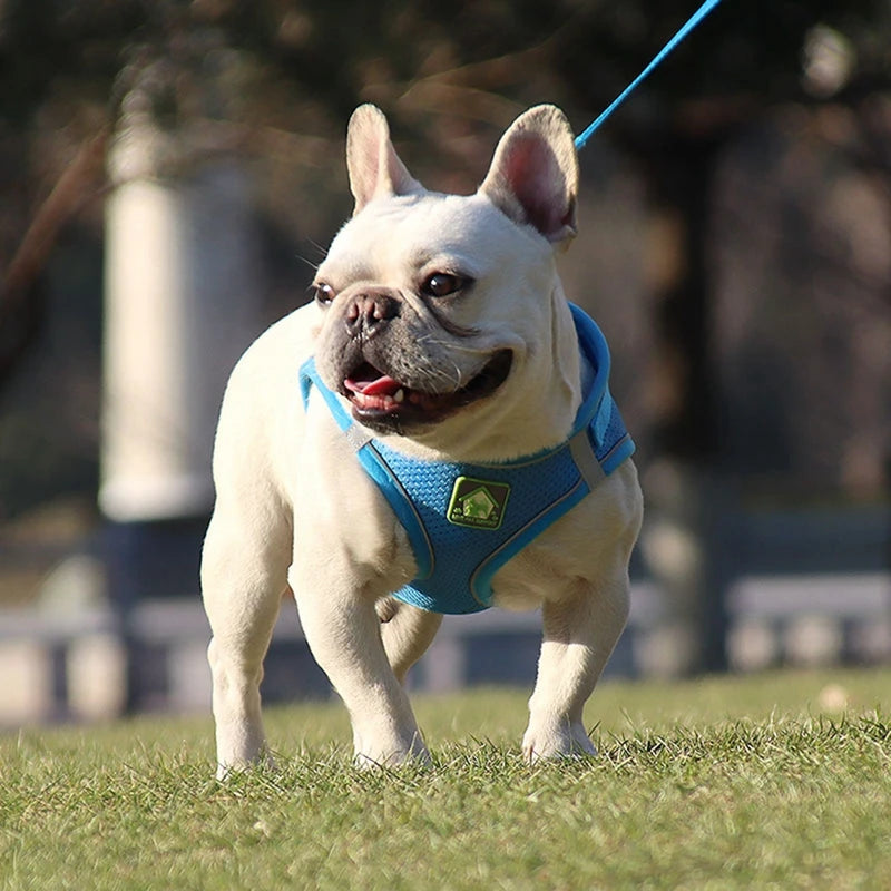 Reflective Puppy Cat Harness Vest With Walking Leash Adjustable Harness