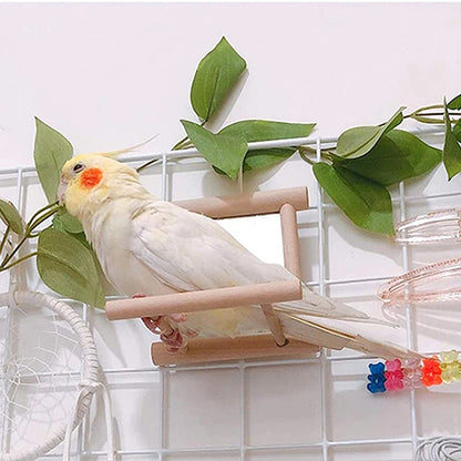 Bird Mirror Wooden Interactive Play Toy With Perch