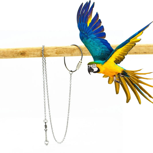 Pet Parrot Leg Ring - Bird Training Accessory