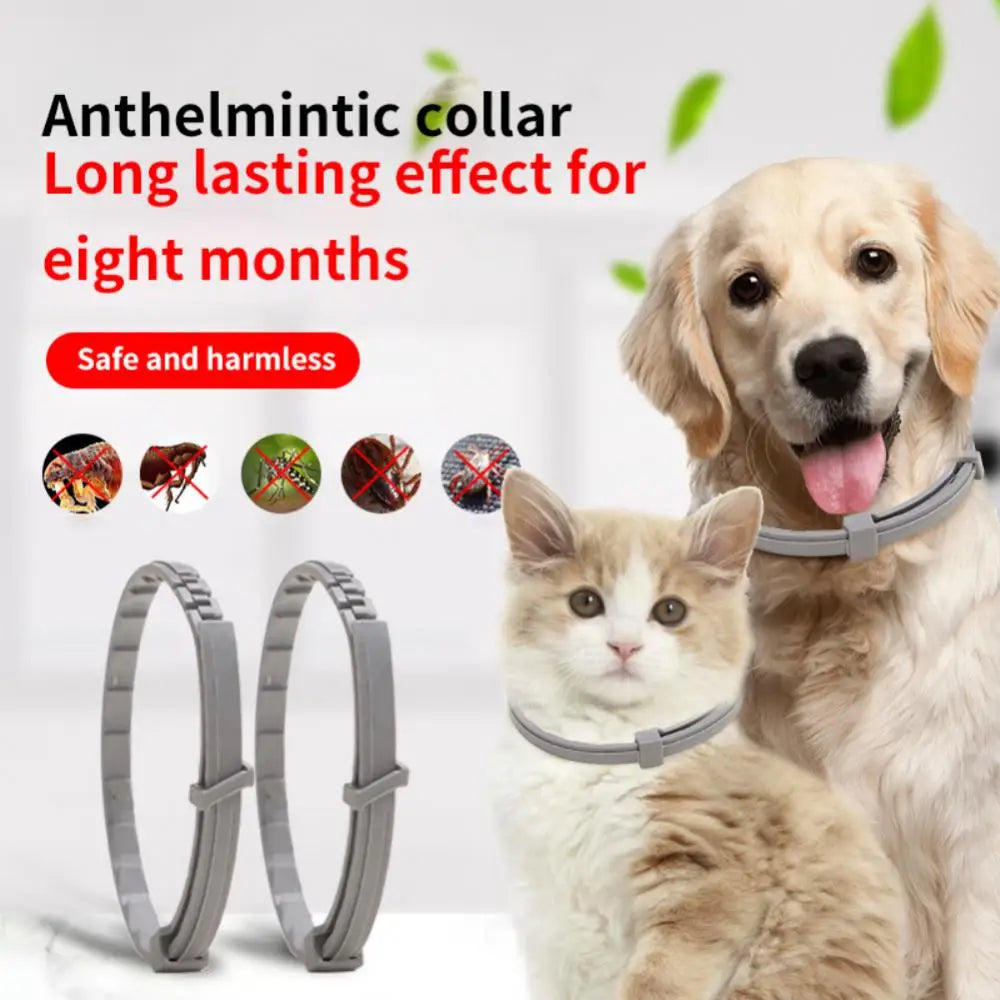 Dog Anti Flea And Ticks Collar