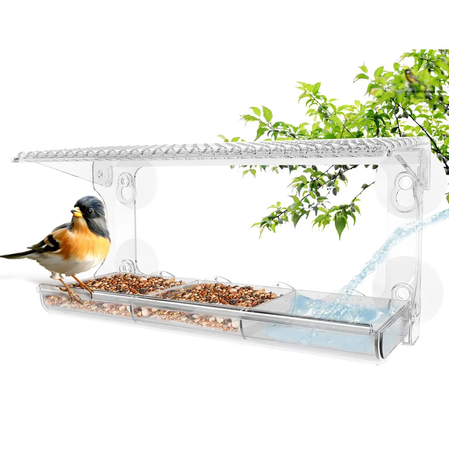 Clear Window Viewing Bird Feeder