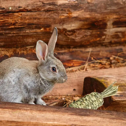 Grass Ball Grass Ring Pet Teeth Grinding Rabbit Chew Toy