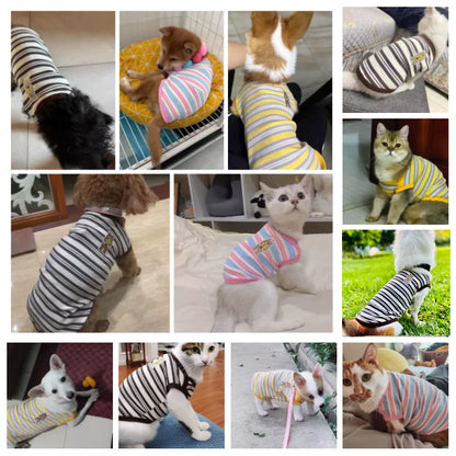 Dog Vest Puppy Clothes Summer Cotton Bear Print T-Shirt Striped Dog Shirt